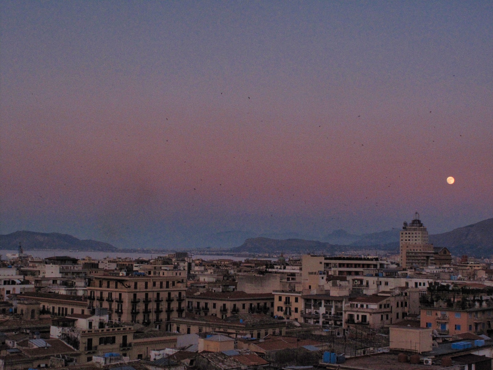 Palermo